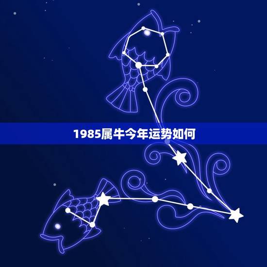 1985属牛今年运势如何，85属牛今年运势