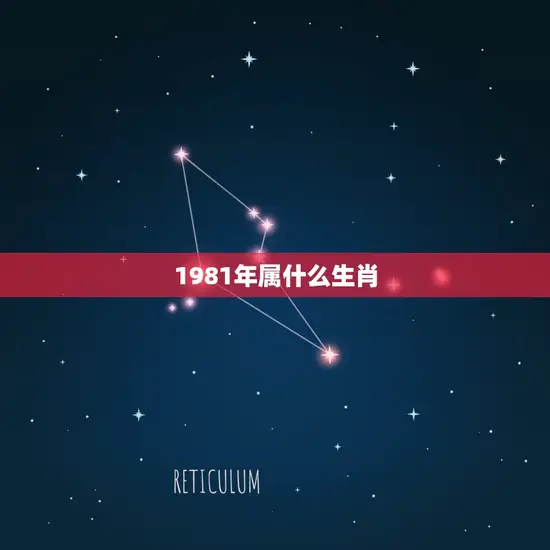 1981年属什么生肖