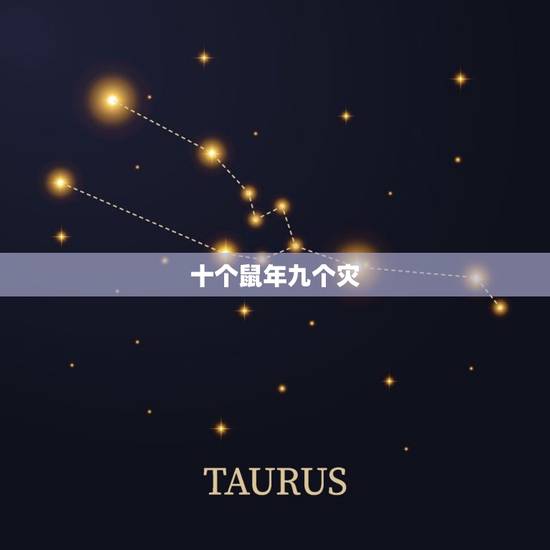 十个鼠年九个灾，“十愁难过猪鼠年”是什么意思，碑记里的，是真