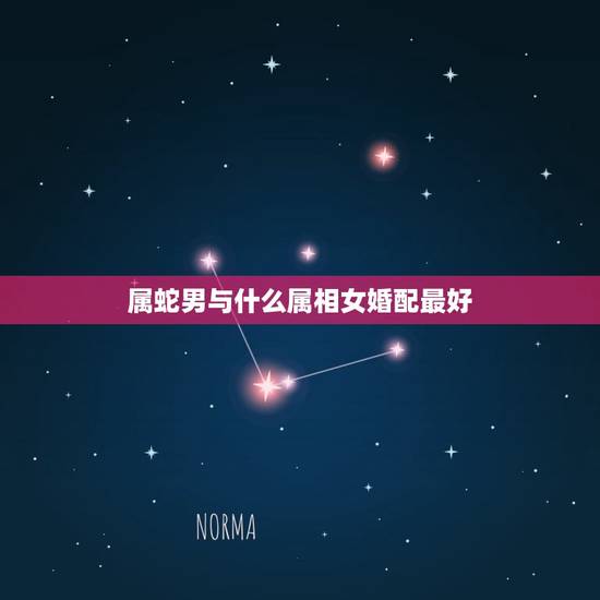 属蛇男与什么属相女婚配最好，属蛇的男孩与属什么的女孩最合婚，要详细点