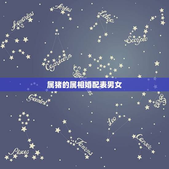 属猪的属相婚配表男女，属猪的属相婚配表，属猪和什么属相最配