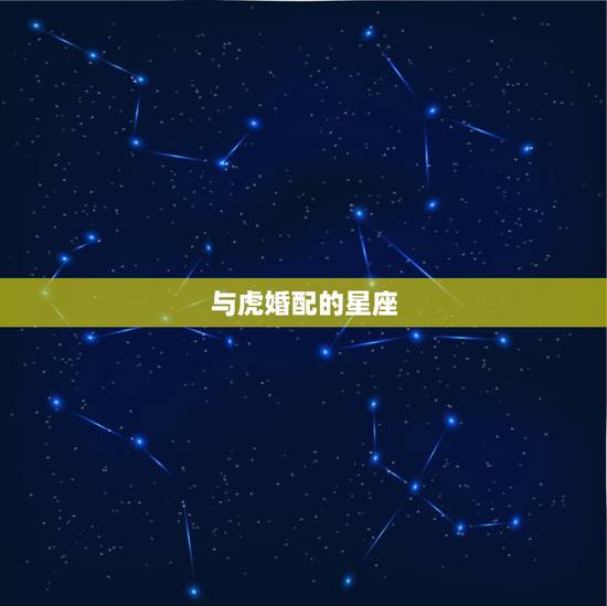 与虎婚配的星座