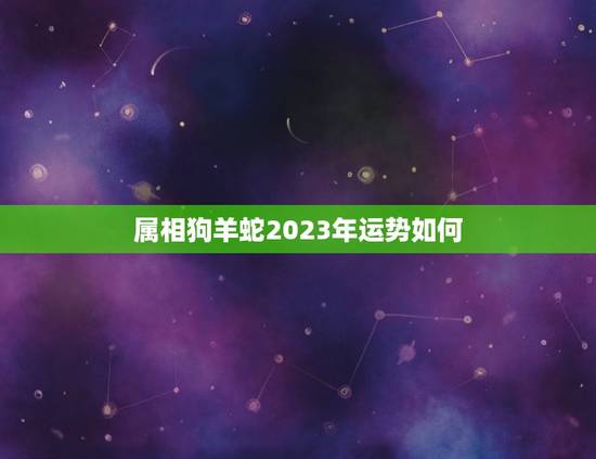 属相狗羊蛇2023年运势如何，2023蛇人全年运势如何