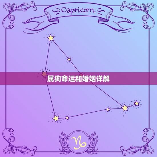 属狗命运和婚姻详解，1994属狗女命运和婚姻