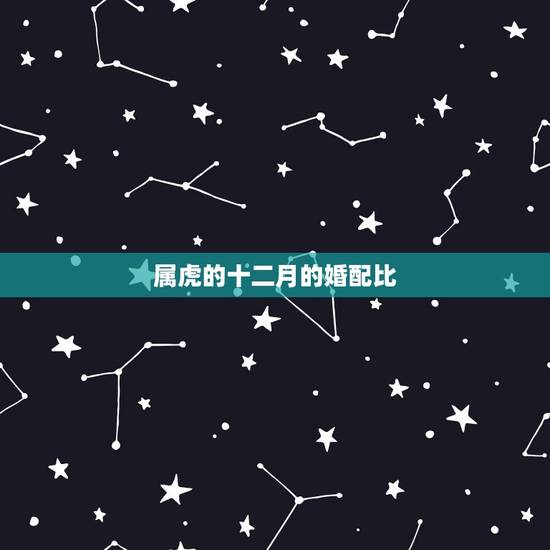 属虎的十二月的婚配比，属虎的最佳配偶