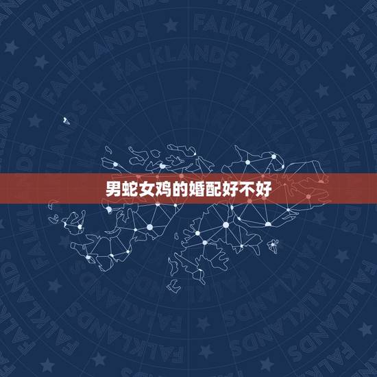 男蛇女鸡的婚配好不好，属蛇男和属相配么