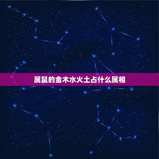 属鼠的金木水火土占什么属相，属鼠的五行属什么，生肖鼠的五行颜色是什么