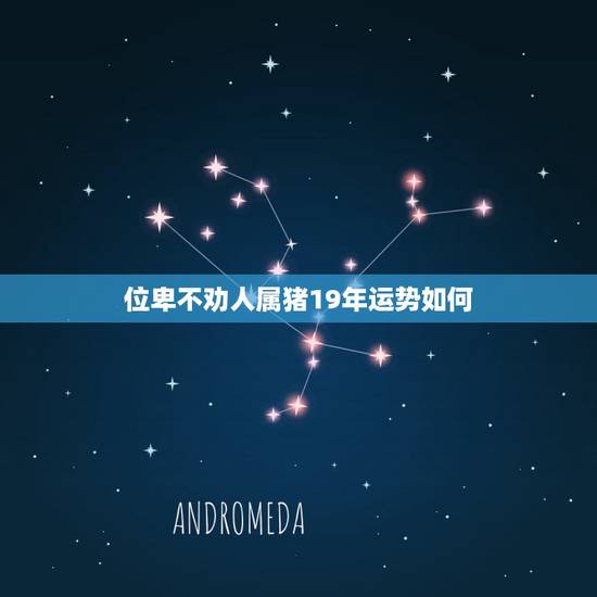 位卑不劝人属猪19年运势如何