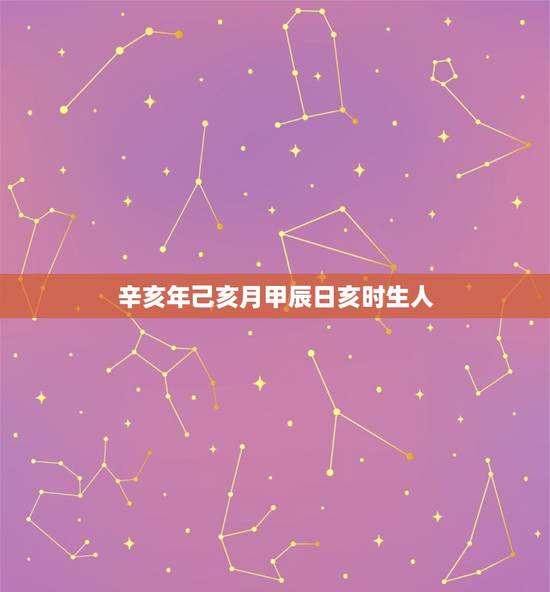 辛亥年己亥月甲辰日亥时生人