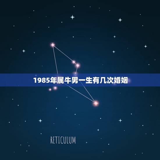 1985年属牛男一生有几次婚姻，85年属牛男，今年的婚姻