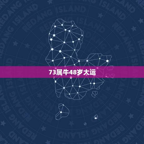 73属牛48岁大运，73年属牛的十年大运