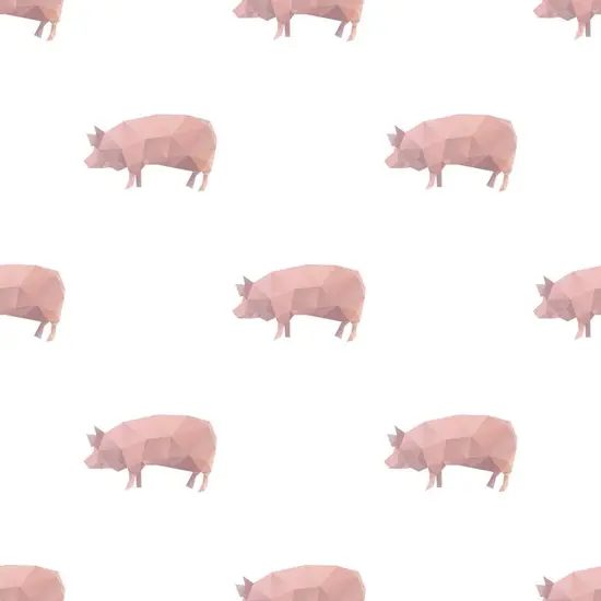 属猪的今年都有多大年龄(2023年猪年生肖运势大揭秘)