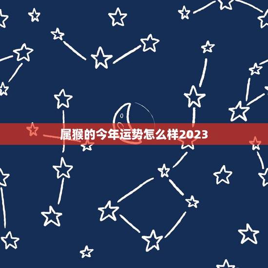 属猴的今年运势怎么样2023，80年属猴人在2023年的全年运势