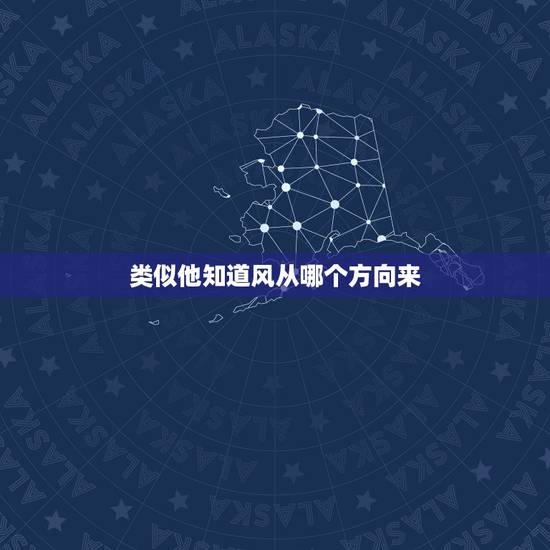 类似他知道风从哪个方向来，程迦类似很野的女主