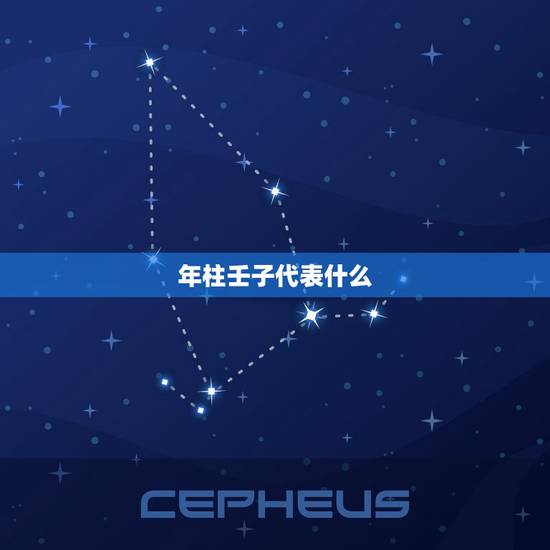 年柱壬子代表什么，壬子代表什么生肖