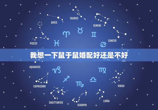 我想一下鼠于鼠婚配好还是不好，属蛇和属鼠相配吗？