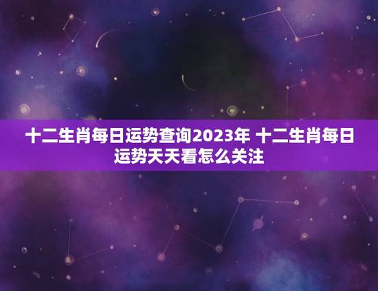 十二生肖每日运势查询2023年 十二生肖每日运势天天看怎么关注
