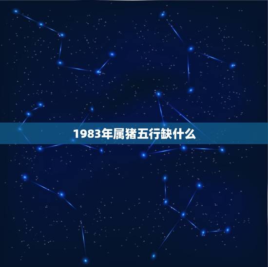 1983年属猪五行缺什么,2007年属猪阳历12月是五行 1983年属猪五行缺什么,2007年属猪阳历12月是五行