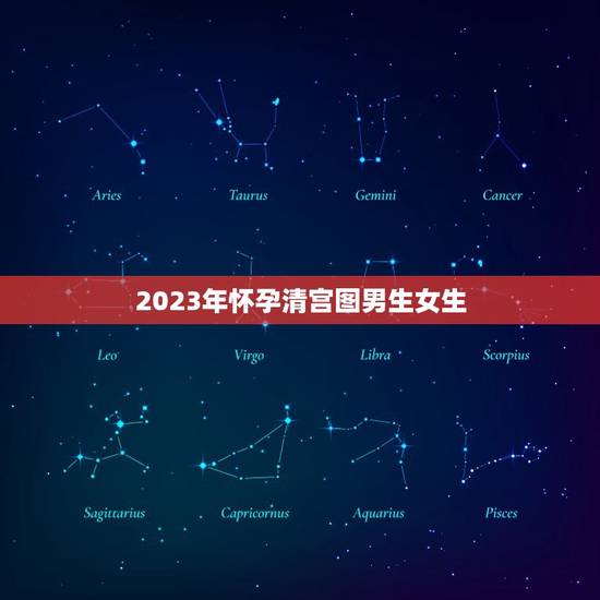 2023年怀孕清宫图男生女生，清宫图2023年生男生女表怎么算