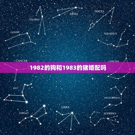 1982的狗和1983的猪婚配吗，83年属猪的和82年属狗的这两个人结