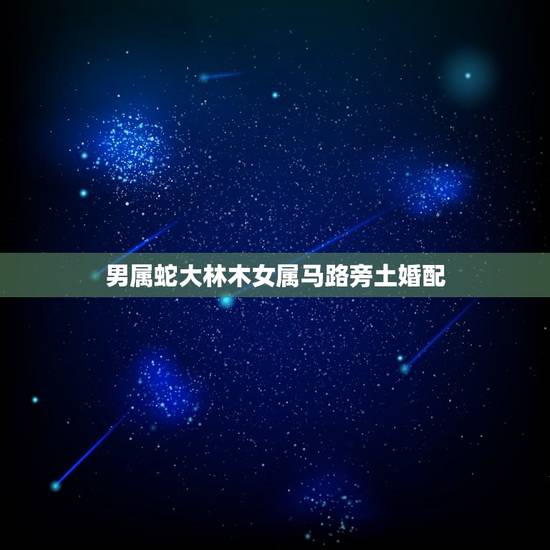 男属蛇大林木女属马路旁土婚配,路旁土男(马)和大林木女(蛇)在一起合适 男属蛇大林木女属马路旁土婚配,路旁土男(马)和大林木女(蛇)在一起合适