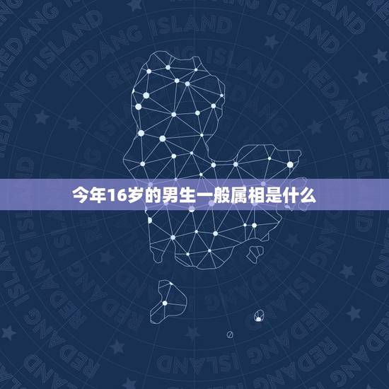 今年16岁的男生一般属相是什么，男孩属什么好