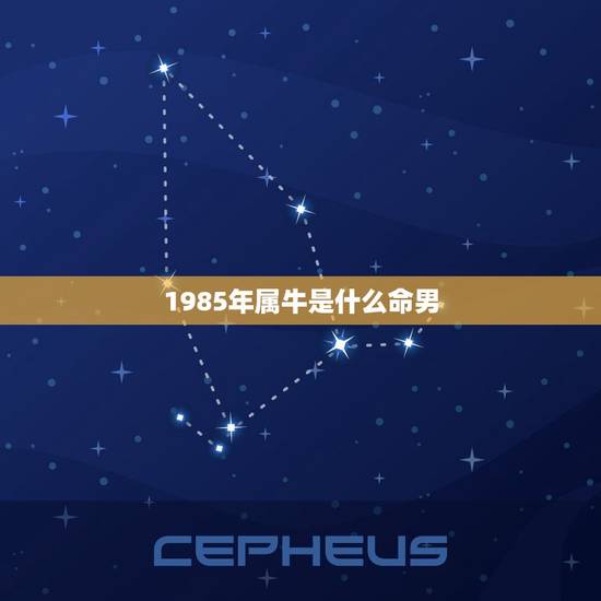 1985年属牛是什么命男，属牛1985年什么命