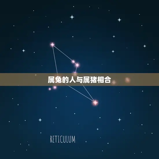 属兔的人与属猪相合