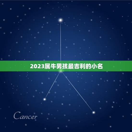 2023属牛男孩最吉利的小名，男孩名字2023年属牛
