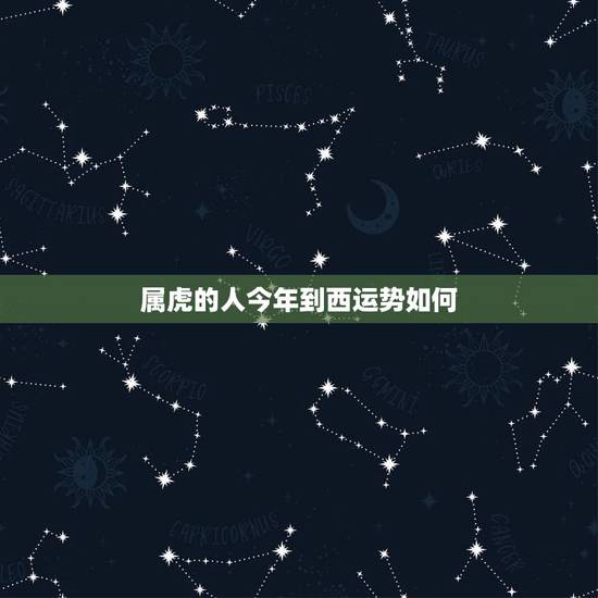 属虎的人今年到西运势如何