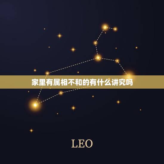 家里有属相不和的有什么讲究吗，属相不合的婚姻就一定不幸福吗