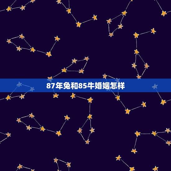 87年兔和85牛婚姻怎样(十二生肖配对的爱情观)