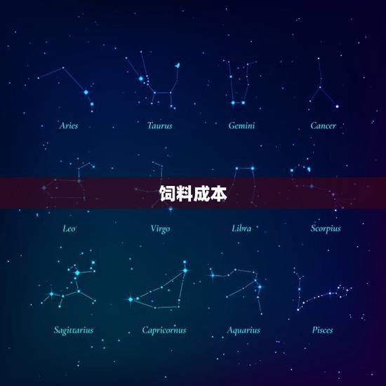 饲料成本
