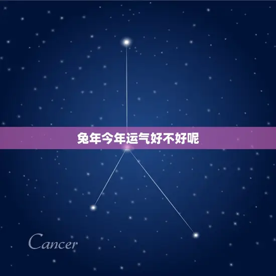 兔年今年运气好不好呢