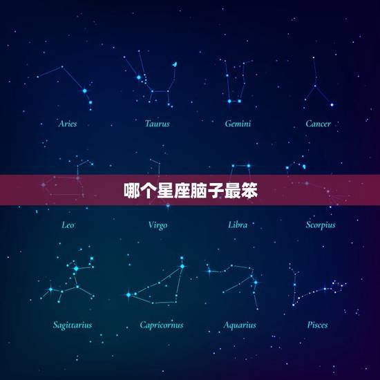 哪个星座脑子最笨，最聪明与最笨的星座