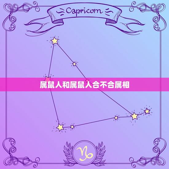 属鼠人和属鼠人合不合属相，属鼠人与什么属相相合