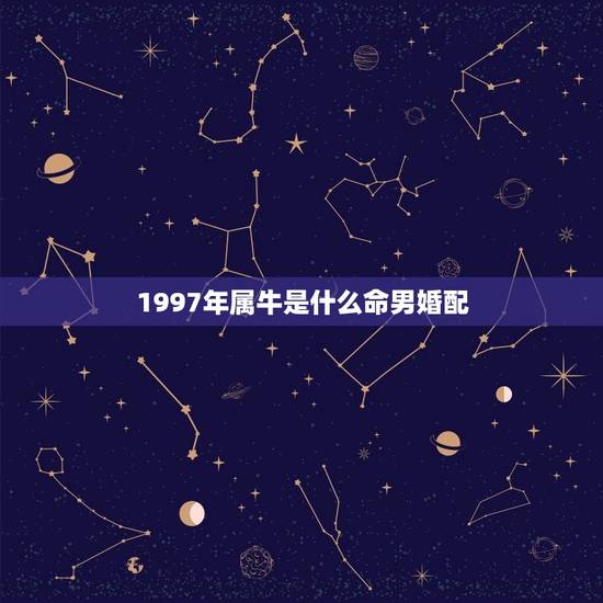 1997年属牛是什么命男婚配，1994年男属狗和1997年女属牛婚配合