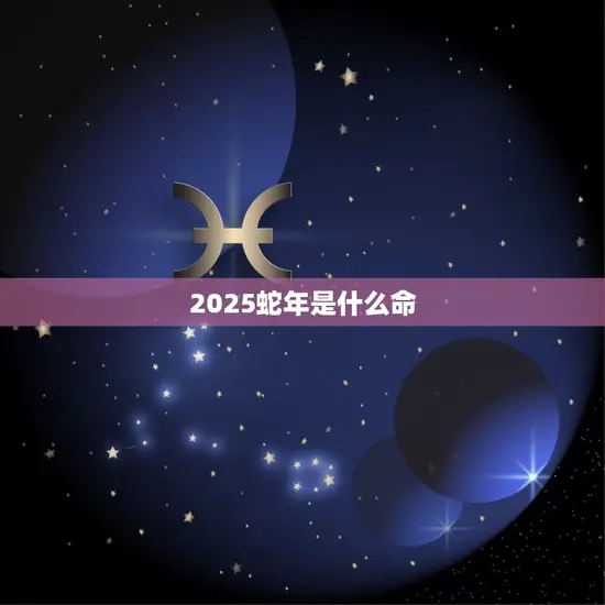 2025蛇年是什么命