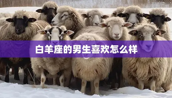 白羊座的男生喜欢怎么样(探秘白羊座男生的爱情心理) 白羊座的男生喜欢怎么样(探秘白羊座男生的爱情心理)