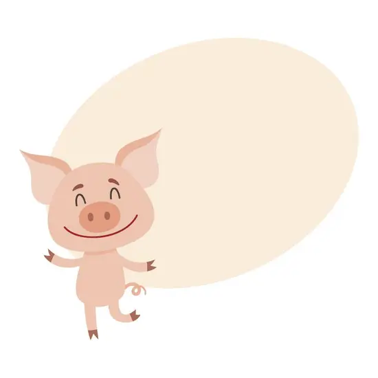 2023年属猪人的运势(猪年大吉财运亨通)