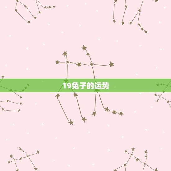 19兔子的运势