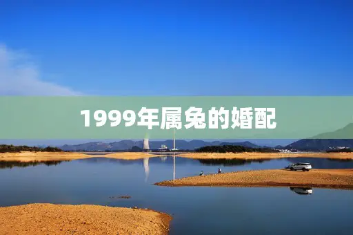 1999年属兔的婚配 1999年属兔的婚配