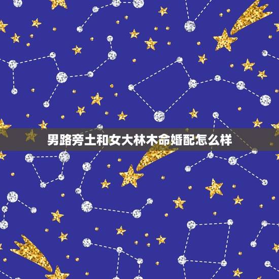 男路旁土和女大林木命婚配怎么样，女大林木命和男路旁土命适合在一起么，急
