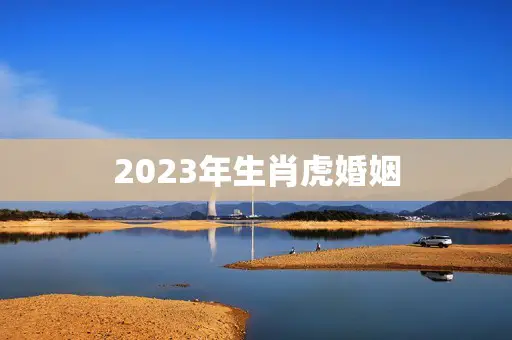 2023年生肖虎婚姻