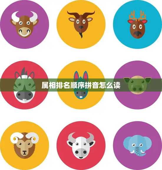 属相排名顺序拼音怎么读(如何正确念出十二生肖的排名顺序)