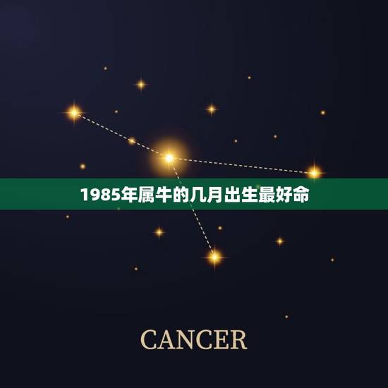 1985年属牛的几月出生最好命，85年属牛 早上8点多出生的 11月份