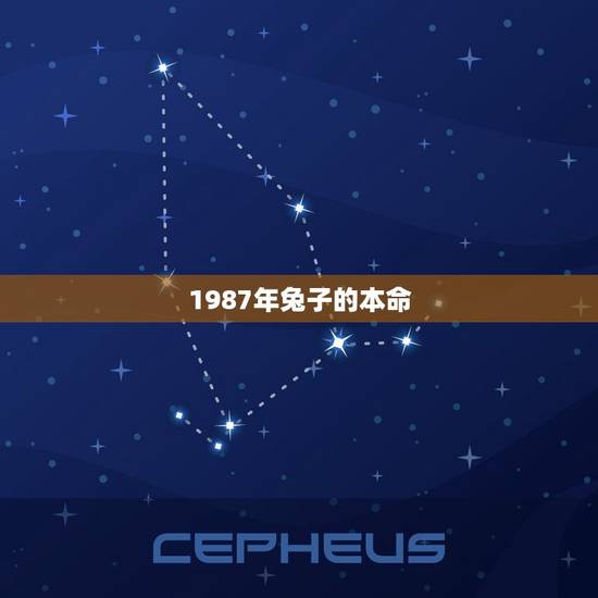 1987年兔子的本命