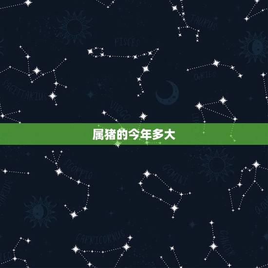 属猪的今年多大,属猪的今年多大? 属猪的今年多大,属猪的今年多大?