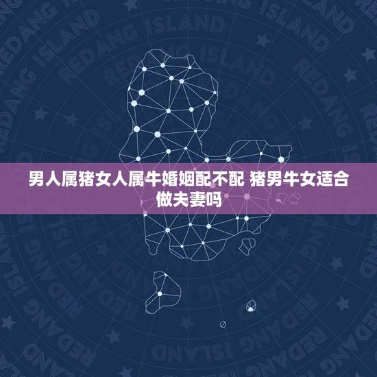 男人属猪女人属牛婚姻配不配 猪男牛女适合做夫妻吗