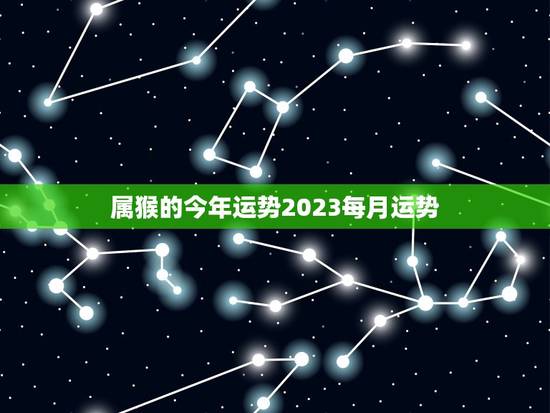 属猴的今年运势2023每月运势，92年猴2023年运势及运程每月运程